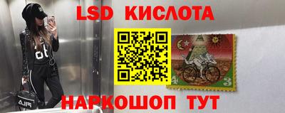 прущая мука Будённовск
